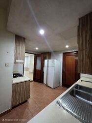 Seletaris (D27), Condominium #469677321